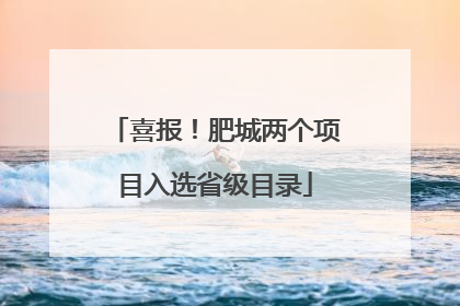 喜报！肥城两个项目入选省级目录